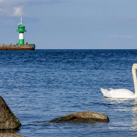 펜션 Duenenpark 2c - Dorf 4 *